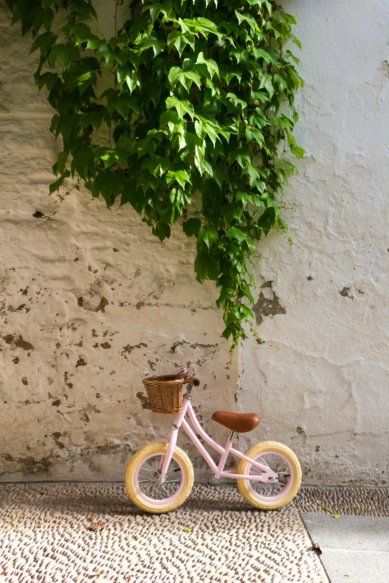 Banwood First Go Balance Bike - Pink