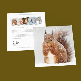 Christmas Wildlife Pack of 10 Cards