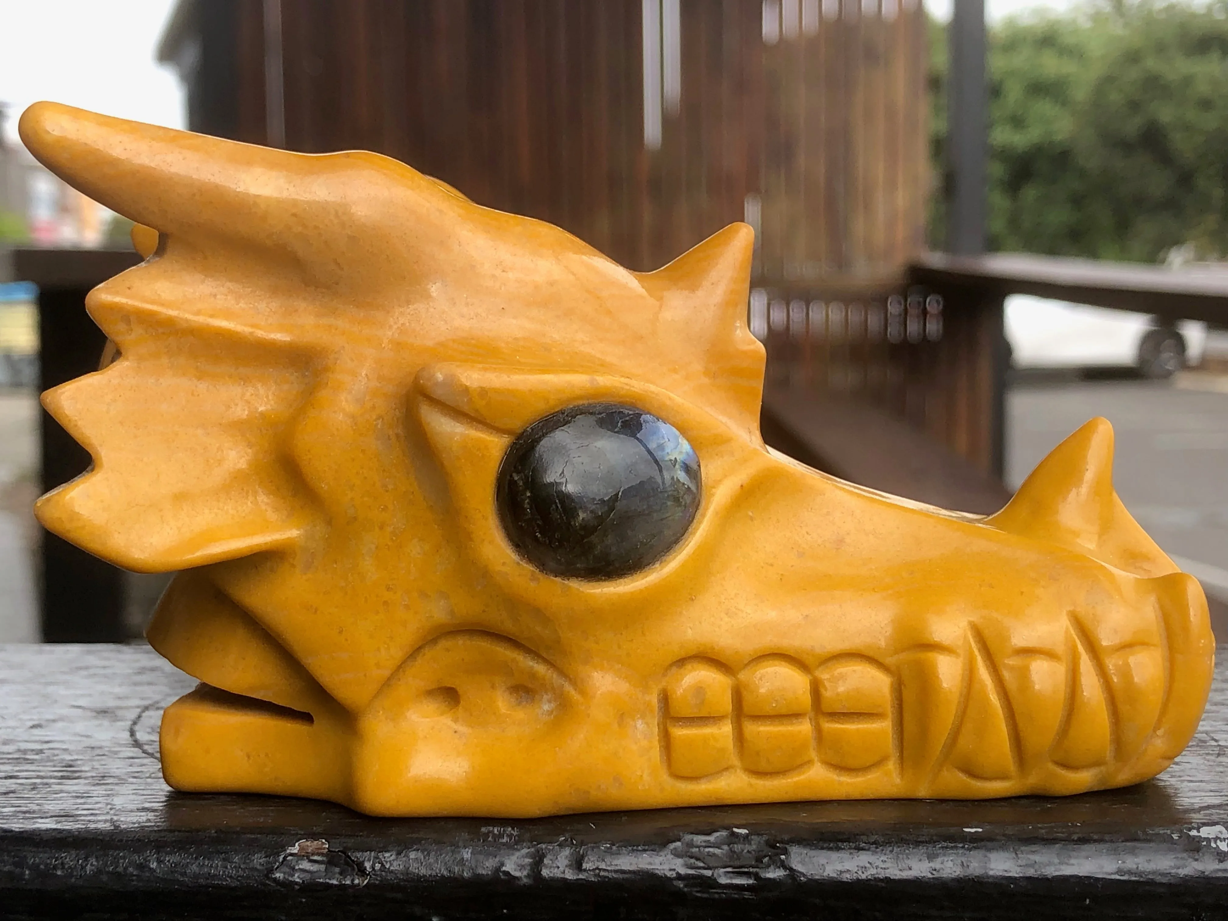 Yellow Jasper Dragon with Labradorite Eyes [1k1432]